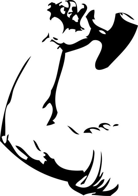 Vidaflex
